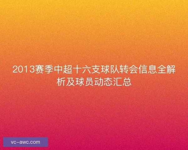 2013赛季中超十六支球队转会信息全解析及球员动态汇总